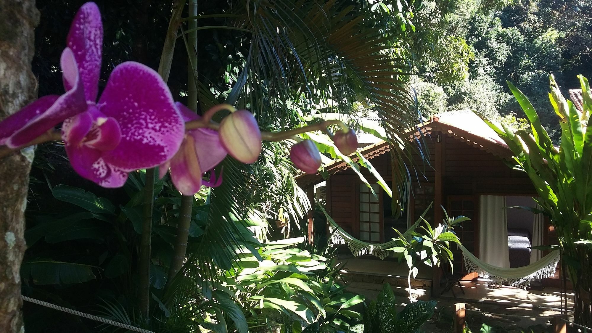 Pousada Mata Nativa Hotel Vila do Abraao Exterior photo